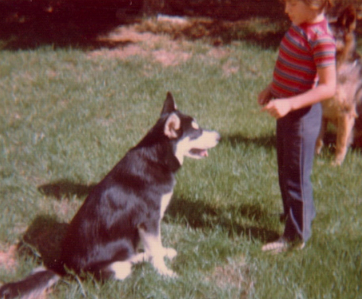 Chad Dog Training Age 9