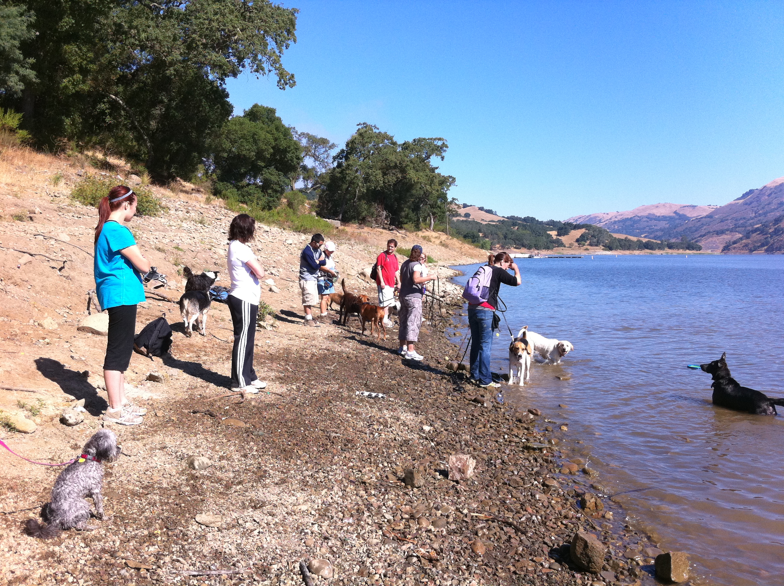 dog hike gilroy