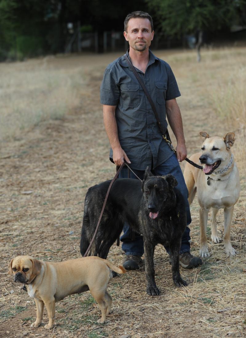 chad culp dog walking south bay